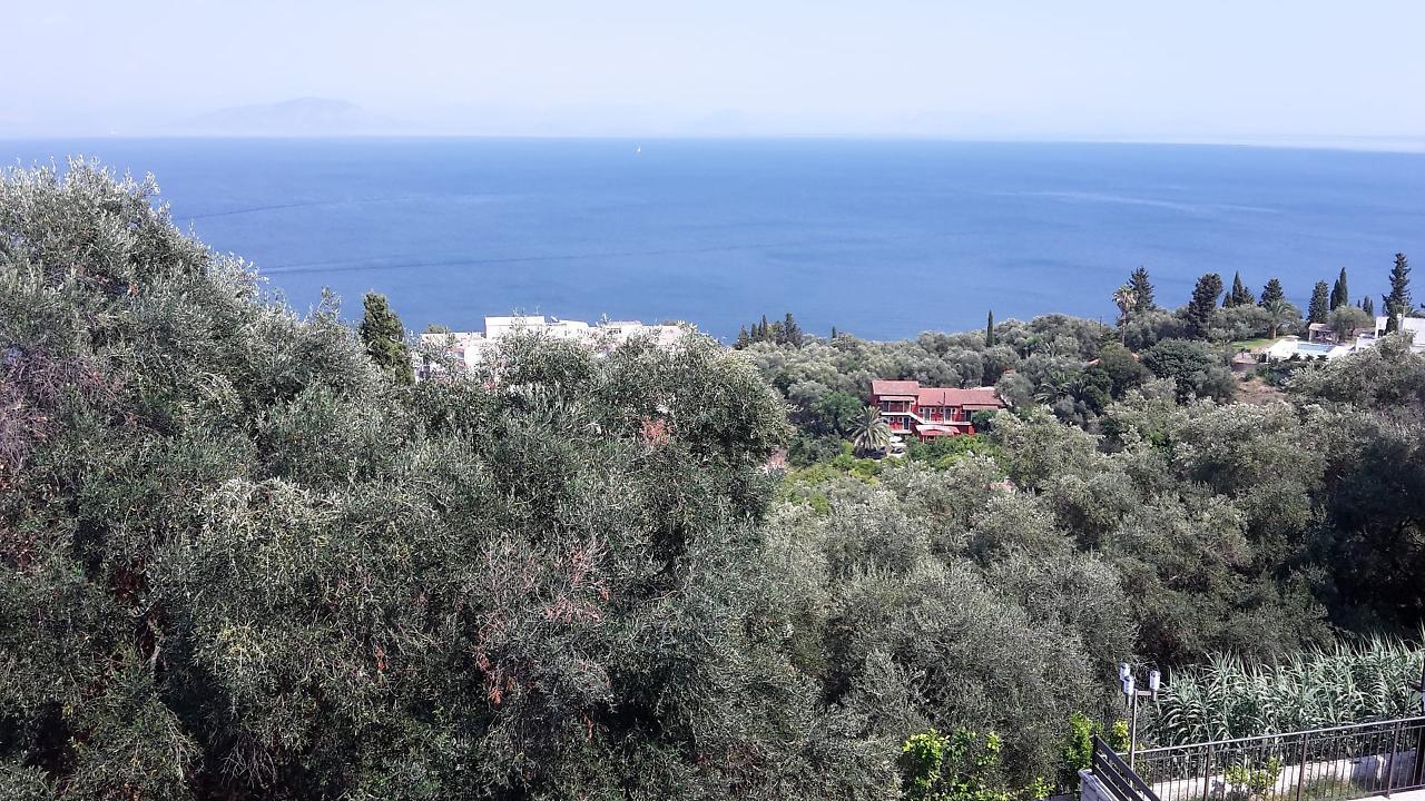 Achillion Luxury Corfu Villa & Suites Perama  Eksteriør billede